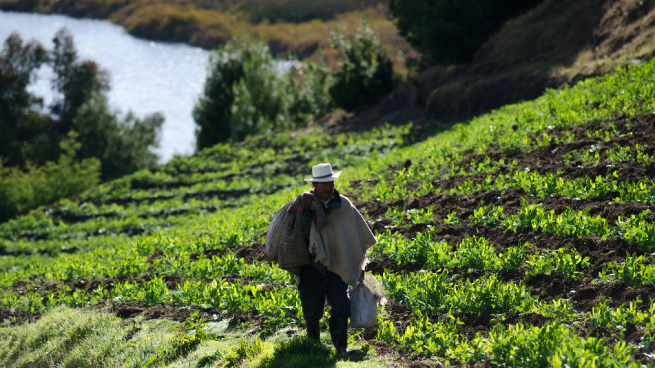 agricultura_familiar-1.jpg