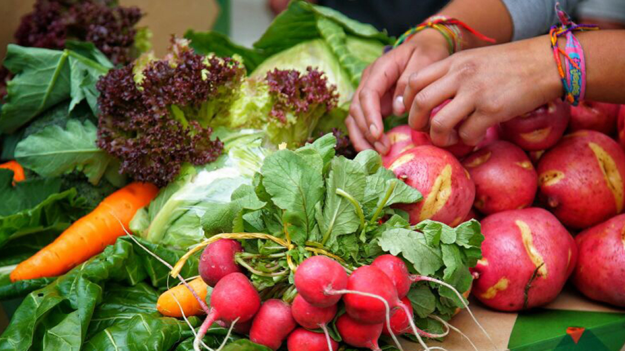 portada-hortifruticola.jpg