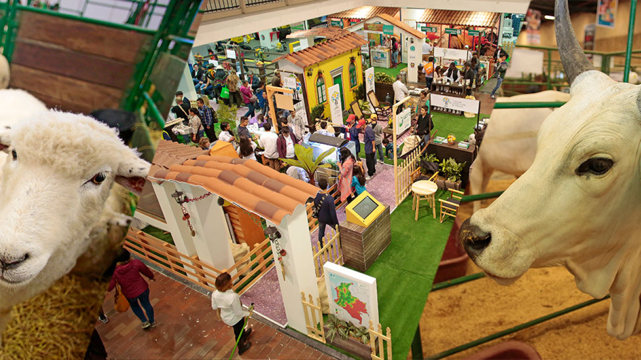 agroexpo-pueblo-pecuario.jpg