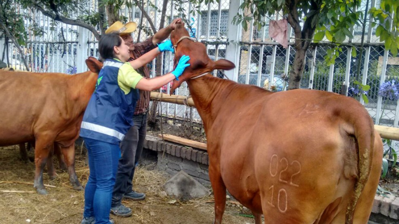 agroexpo_1.jpg