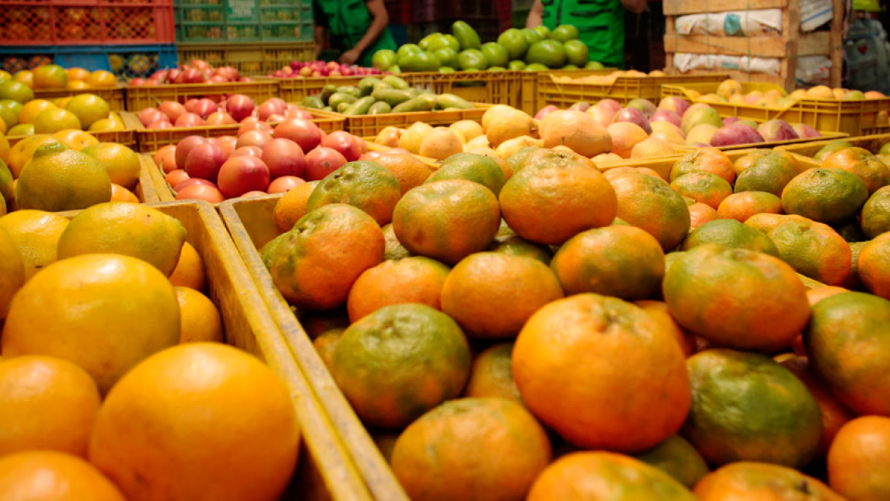 abastecimiento-tuberculos-hortalizas-frutas.jpg