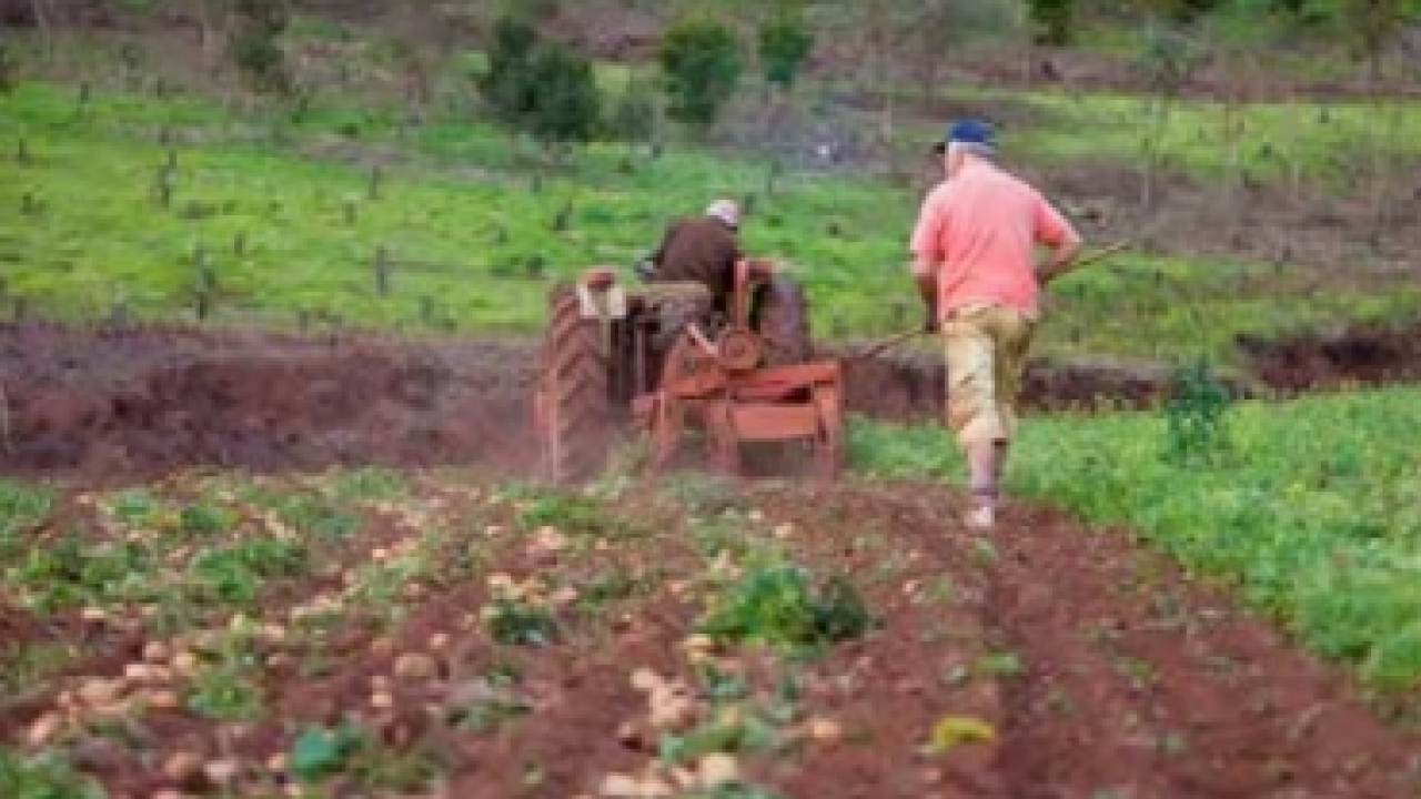 credito_pequenos_campesinos_foto_fiduagraria.jpg