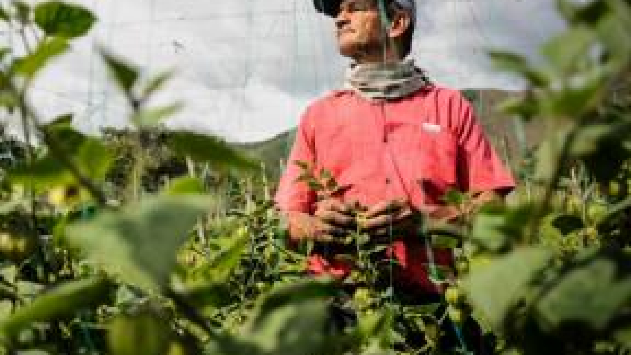 agricultores-2.jpg