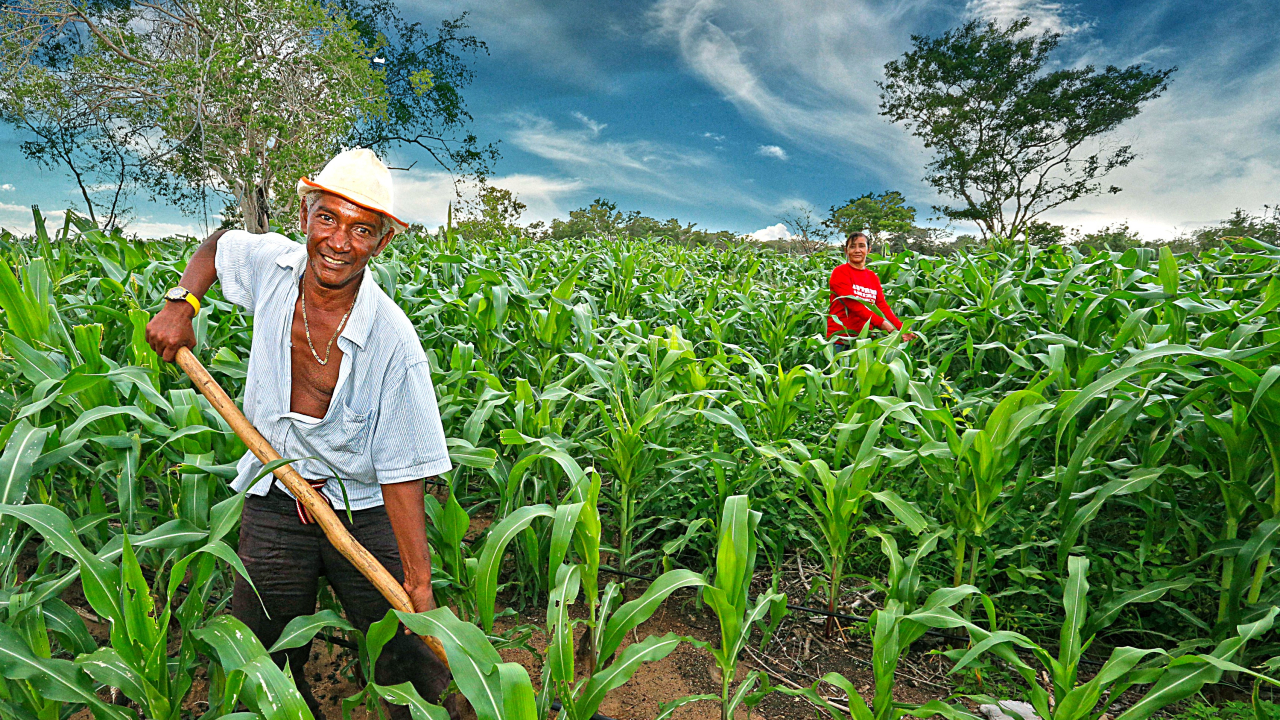 empleo-campesinos.jpg