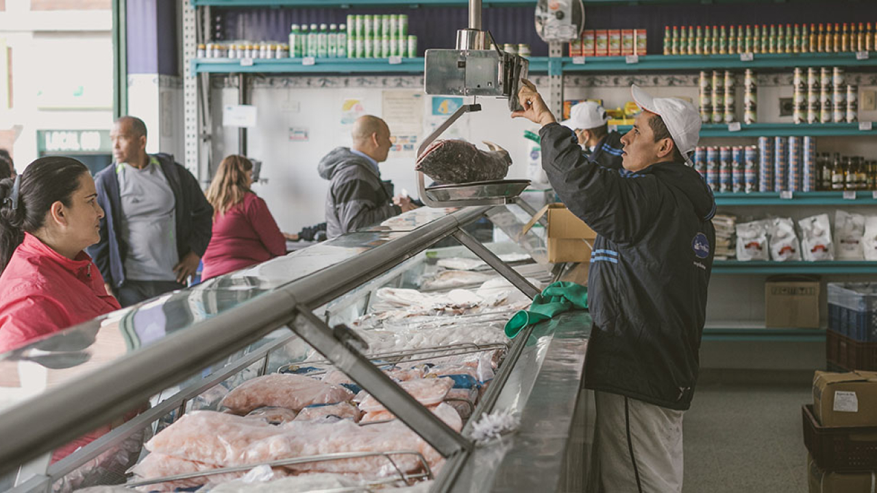 pescado_pagina_web.jpg