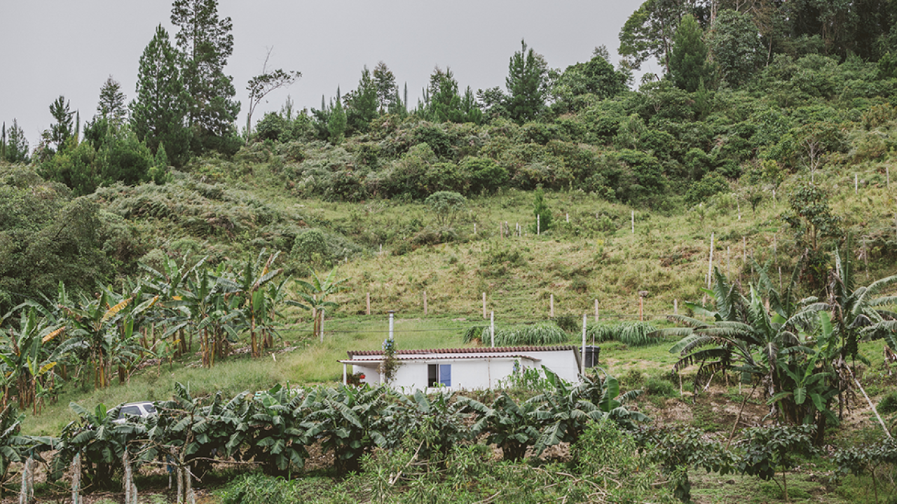 1_vivienda_rural_mayo_ok.png