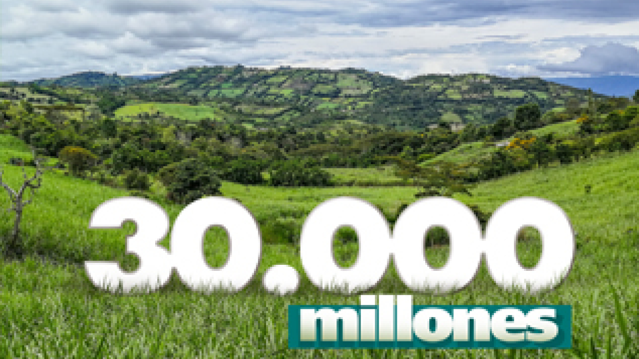 30000millones.jpg