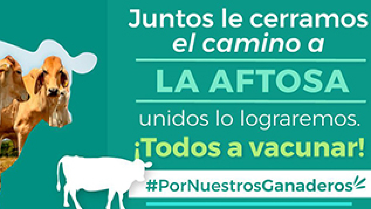 1imagen.jpg