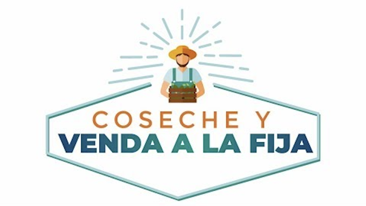 coseche_y_venda_a_la_fija.png