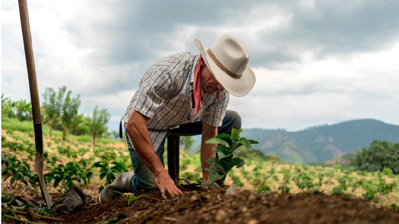 agricultor.jpg