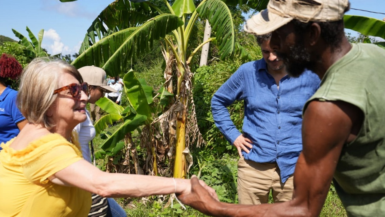 Reactivación de la actividad agrícola y pesquera en San Andrés y Providencia es una prioridad del gobierno