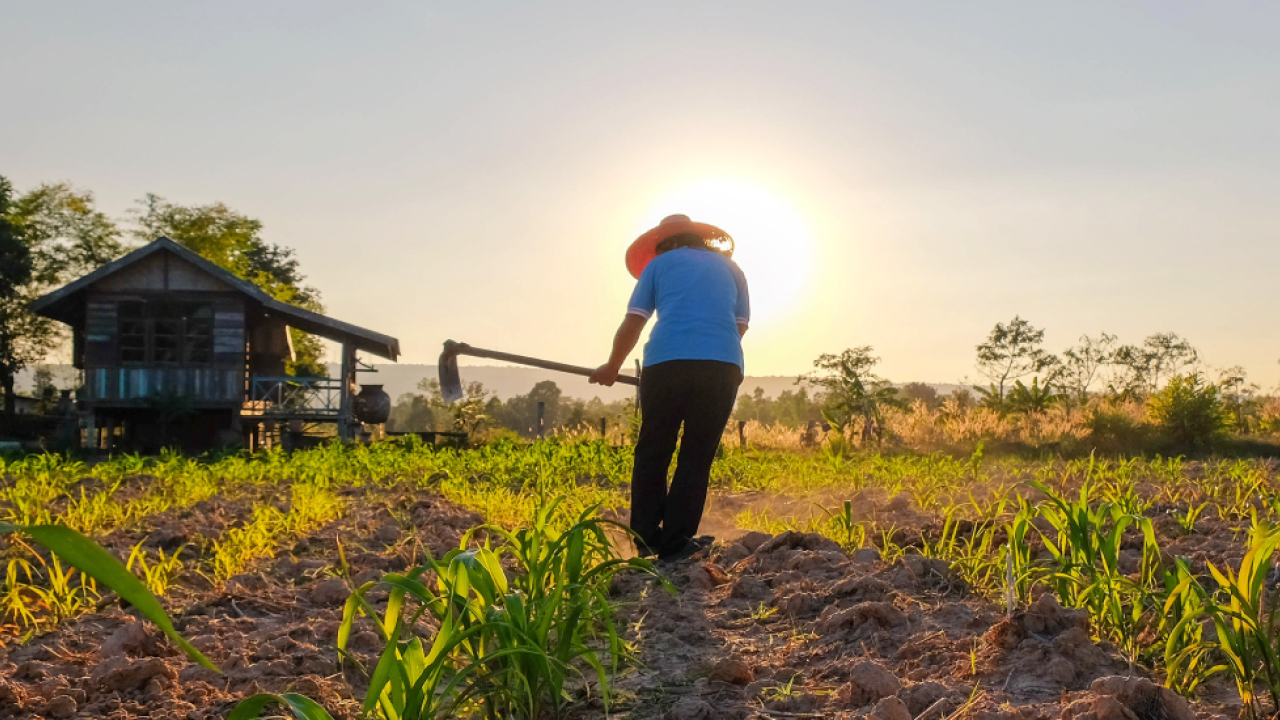 Política de financiamiento agropecuario se reorienta para darle prioridad a pequeños productores