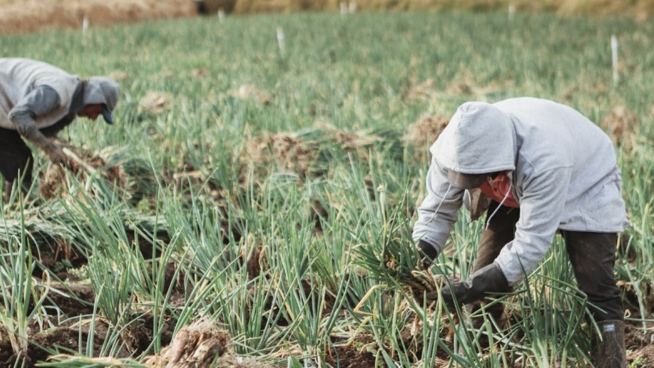 MinAgricultura anuncia reducción de tasas de interés en línea de crédito de economía popular para productores agropecuarios