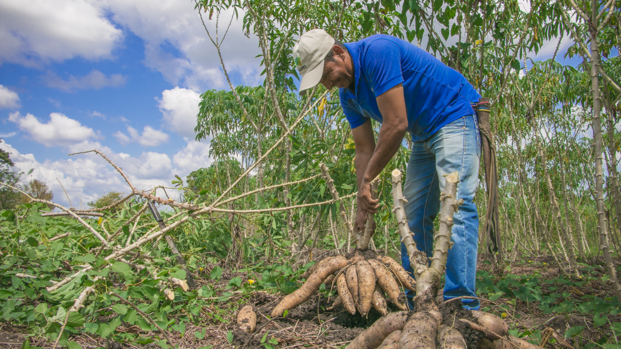 FINAGRO vinculó a nuevas cooperativas y aumentó el cupo de redescuento para el IDEA 