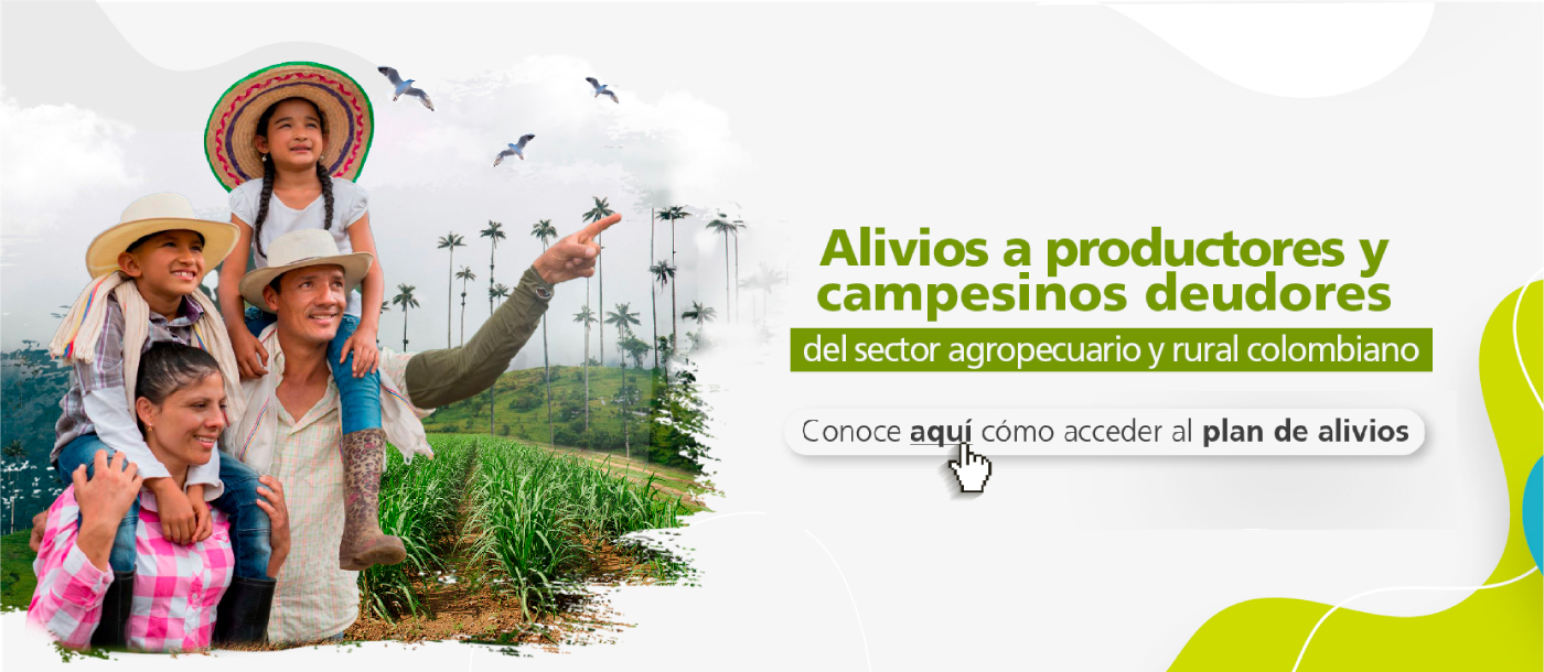 banner Ley de Alivios Financieros 2071/20 