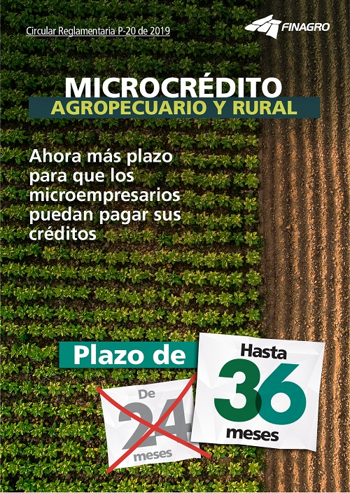 p20microcreidito.jpg