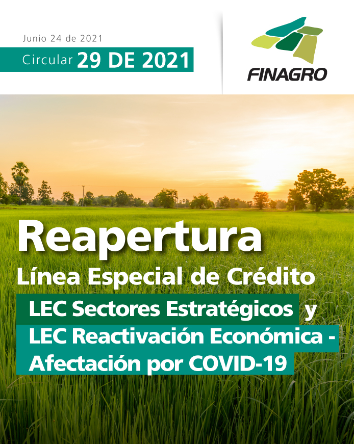 p29_reapertura-lec.jpg