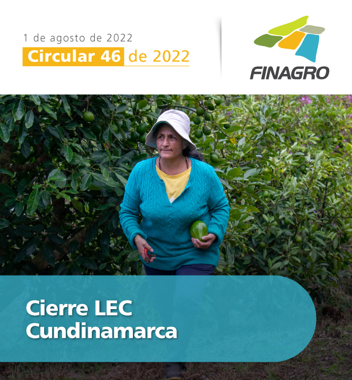 Circular 46 de 2022