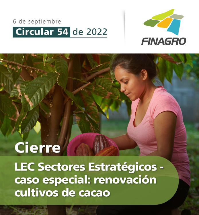 Circular 54 de 2022