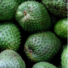 -_a_guanabana_santander.jpg