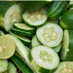 -_a_pepino_humocaro_bajo_invernadero.jpg