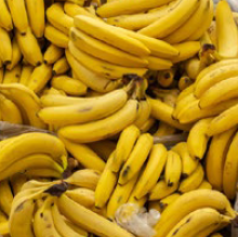banano_criollo_santander.png