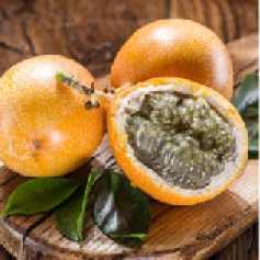 portadas_a_granadilla_comun.jpg