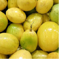 portadas_a_maracuya_amarillo.jpg