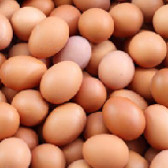 portadas_p_huevos_comercial_cundinamarca.jpg